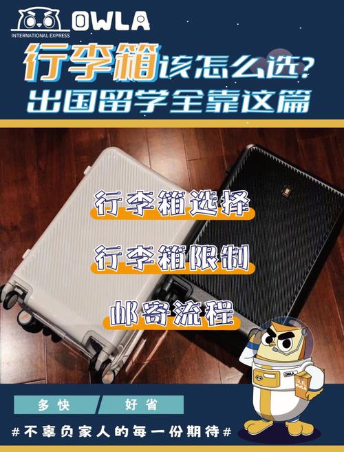 留学归国行李物品若何通关？ 留学归国行李物品若何通关？ 智能家居