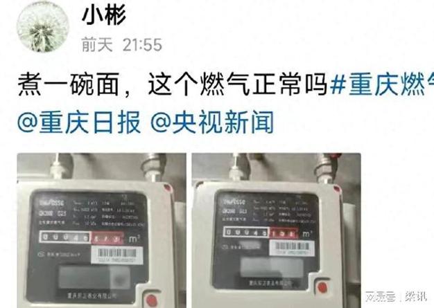 重庆燃气智能表费用暴增的查询访问结果出来了都是抄表员的错? 人工智能 重庆燃气智能表费用暴增的查询访问结果出来了都是抄表员的错? 重庆燃气智能表费用暴增的查询访问结果出来了都是抄表员的错? 人工智能
