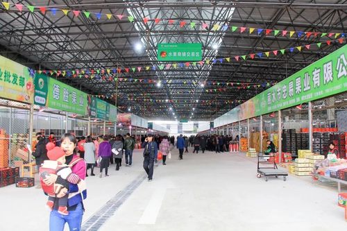 市平易近有“福利”!丽水超级农产品批发市场落户南城 智能科技 市平易近有“福利”!丽水超级农产品批发市场落户南城 市平易近有“福利”!丽水超级农产品批发市场落户南城 智能科技