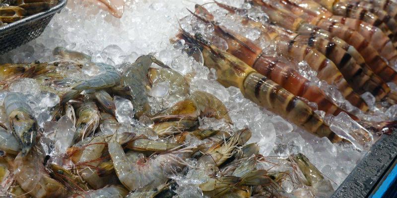 福建疾控专家:安然食用进口冷链食物请切记三点 互联通信 福建疾控专家:安然食用进口冷链食物请切记三点 福建疾控专家:安然食用进口冷链食物请切记三点 互联通信
