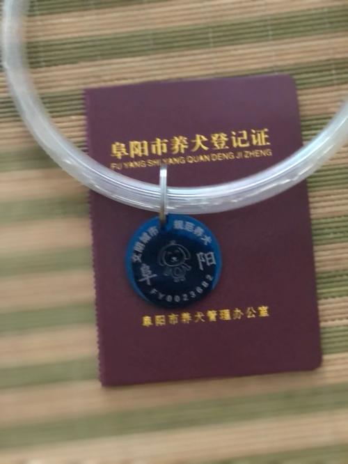 阜阳20处环推荐措办法可预约参不雅观 阜阳20处环推荐措办法可预约参不雅观 智能家居