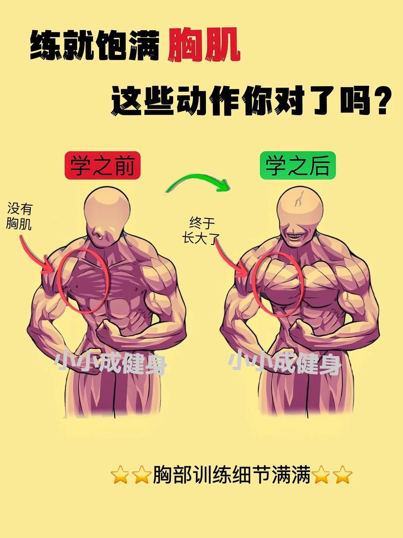 想把胸肌练得更结实只关注重量并不足这些细节也需要你留心! 人工智能 想把胸肌练得更结实只关注重量并不足这些细节也需要你留心! 想把胸肌练得更结实只关注重量并不足这些细节也需要你留心! 人工智能