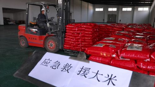 日进货量1500吨旁边 绥化市生活必需品贮备充足 互联通信 日进货量1500吨旁边 绥化市生活必需品贮备充足 日进货量1500吨旁边 绥化市生活必需品贮备充足 互联通信