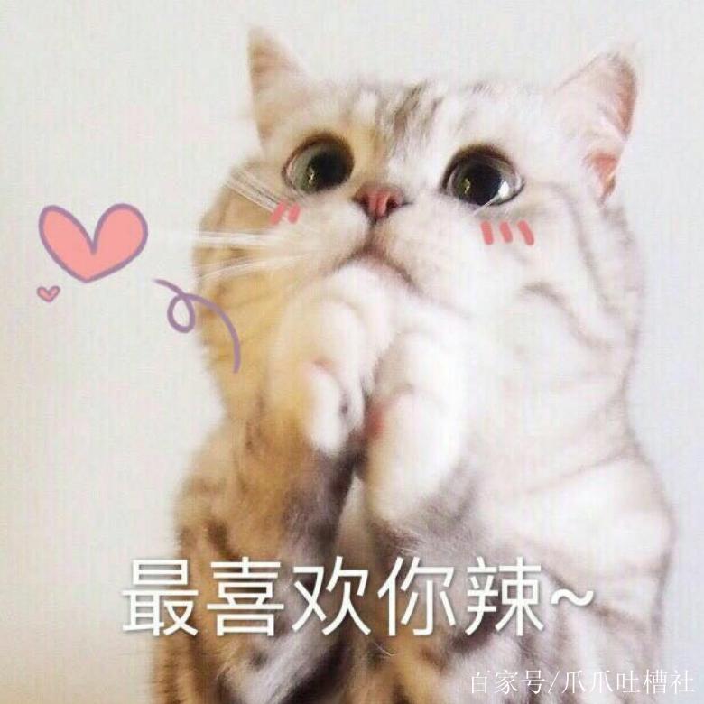 父亲不让养猫女儿竟然做了这样的PPT网友们都惊呆了 父亲不让养猫女儿竟然做了这样的PPT网友们都惊呆了 互联通信