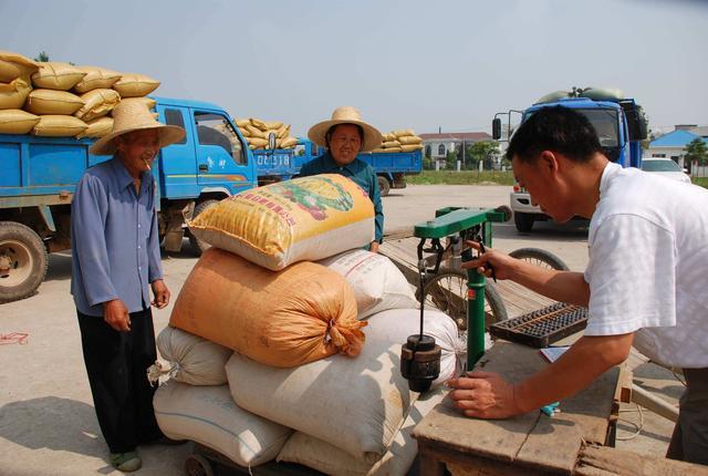 粮食收购站要想坑你你知道他的手段吗? 智能科技 粮食收购站要想坑你你知道他的手段吗? 粮食收购站要想坑你你知道他的手段吗? 智能科技