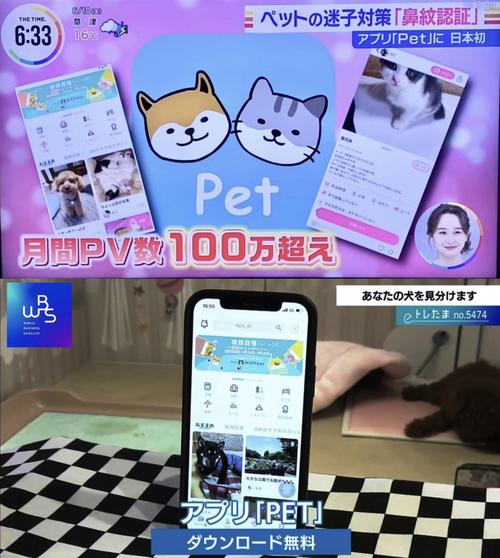 出海日本宠物社区App「Pet」若何冷启动与增长? 智能科技 出海日本宠物社区App「Pet」若何冷启动与增长? 出海日本宠物社区App「Pet」若何冷启动与增长? 智能科技