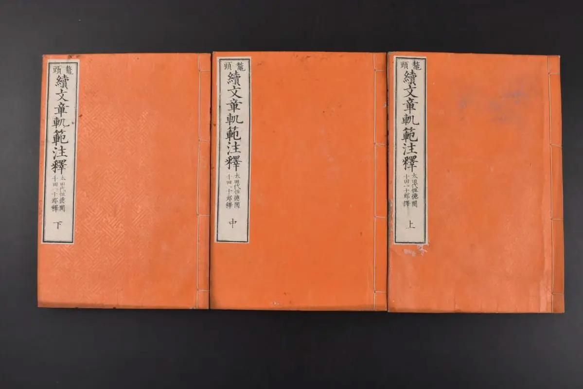 小轨范怎么开拓自己的小轨范：优势、功能及案例解析 小轨范怎么开拓自己的小轨范：优势、功能及案例解析 智能家居