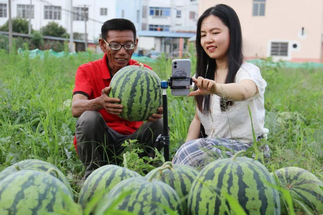 淮南青联委员直播卖瓜助力村落振兴 智能科技 淮南青联委员直播卖瓜助力村落振兴 淮南青联委员直播卖瓜助力村落振兴 智能科技
