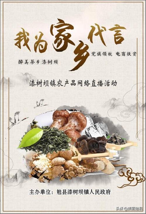 我为家乡产品“代言” 智能家居 我为家乡产品“代言” 我为家乡产品“代言” 智能家居