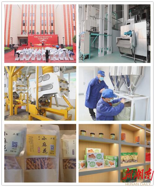 湘西州首条荞麦加工全自动分娩线投入运用 智能家居 湘西州首条荞麦加工全自动分娩线投入运用 湘西州首条荞麦加工全自动分娩线投入运用 智能家居