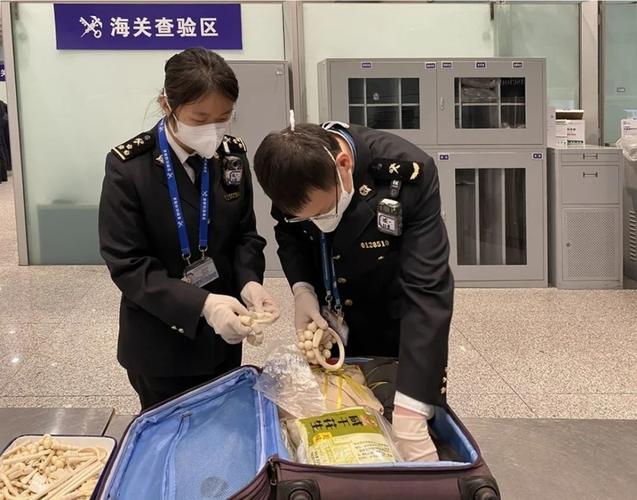 泉州海关查获犯禁物品:反思与警示 人工智能 泉州海关查获犯禁物品:反思与警示 泉州海关查获犯禁物品:反思与警示 人工智能