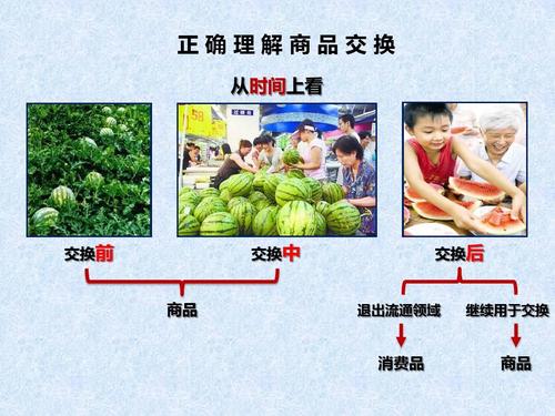 交货考验和交货数量考验 交货考验和交货数量考验 人工智能