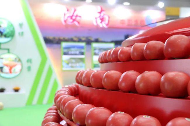 聚焦消博会!确山县名优特产品惊艳驻马店首届消博会 红色确山亮上天 智能科技 聚焦消博会!确山县名优特产品惊艳驻马店首届消博会 红色确山亮上天 聚焦消博会!确山县名优特产品惊艳驻马店首届消博会 红色确山亮上天 智能科技