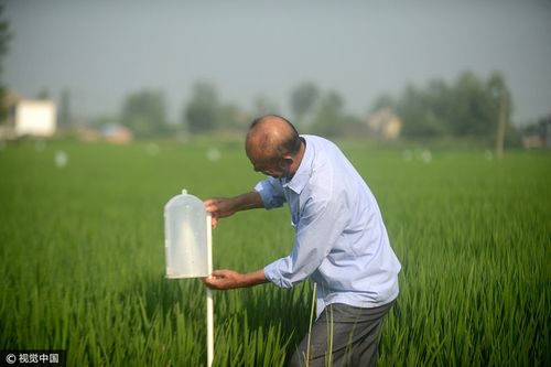 氮气保存粮食既环保又灭虫 智能家居 氮气保存粮食既环保又灭虫 氮气保存粮食既环保又灭虫 智能家居