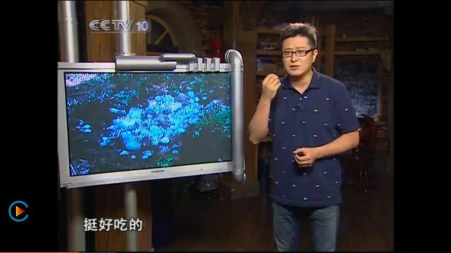 央视“闹鬼”节目停播：《走近科学》旧事 央视“闹鬼”节目停播：《走近科学》旧事 互联通信