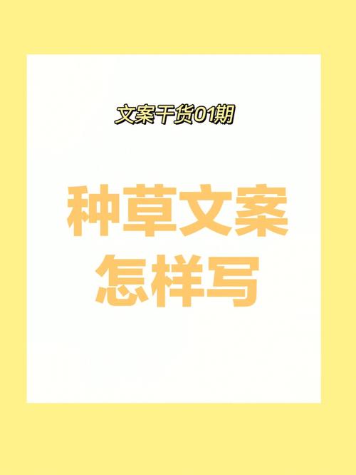 带货案牍的十二种抓心标题纯干货分享!(二) 互联通信 带货案牍的十二种抓心标题纯干货分享!(二) 带货案牍的十二种抓心标题纯干货分享!(二) 互联通信