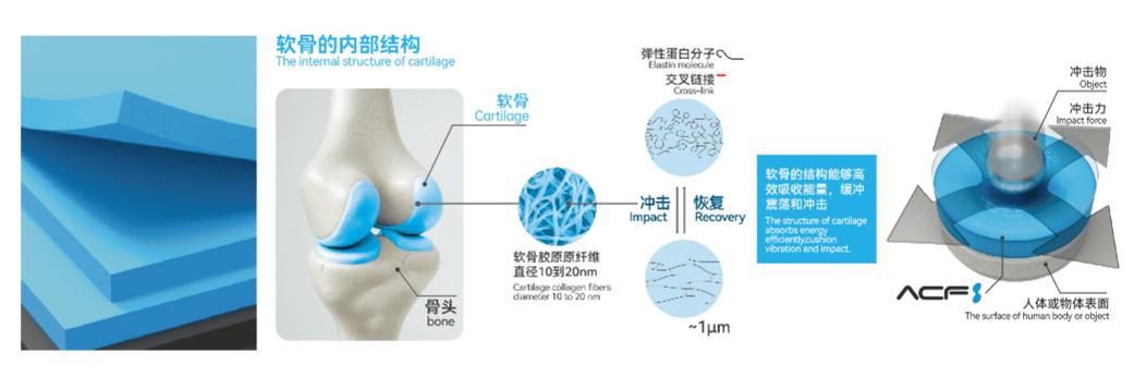 申报主题:一种新型防冲击超材料ACF人工软骨材料 智能家居 申报主题:一种新型防冲击超材料ACF人工软骨材料 申报主题:一种新型防冲击超材料ACF人工软骨材料 智能家居