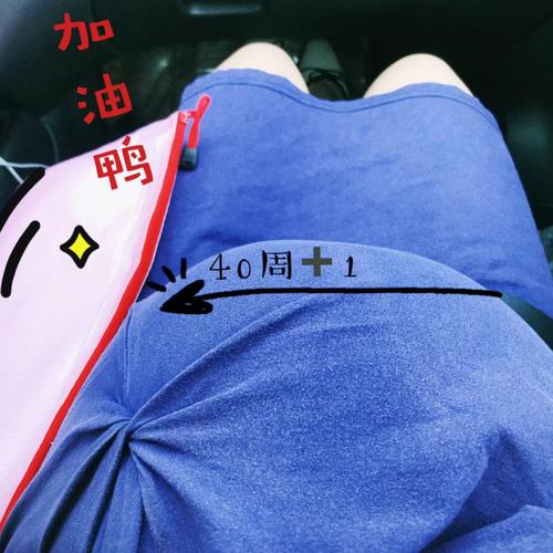 怎么会动!淡定柴见南瓜骷髅「长高又变矮」 惊慌跳车 智能家居 怎么会动!淡定柴见南瓜骷髅「长高又变矮」 惊慌跳车 怎么会动!淡定柴见南瓜骷髅「长高又变矮」 惊慌跳车 智能家居