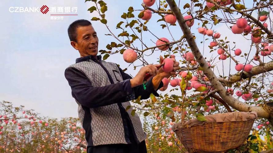用好“金钥匙” 助果商开启“致富门” 智能科技 用好“金钥匙” 助果商开启“致富门” 用好“金钥匙” 助果商开启“致富门” 智能科技