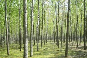 补贴34.8万元!仲恺拟培训第一批165名新型学徒 人工智能 补贴34.8万元!仲恺拟培训第一批165名新型学徒 补贴34.8万元!仲恺拟培训第一批165名新型学徒 人工智能