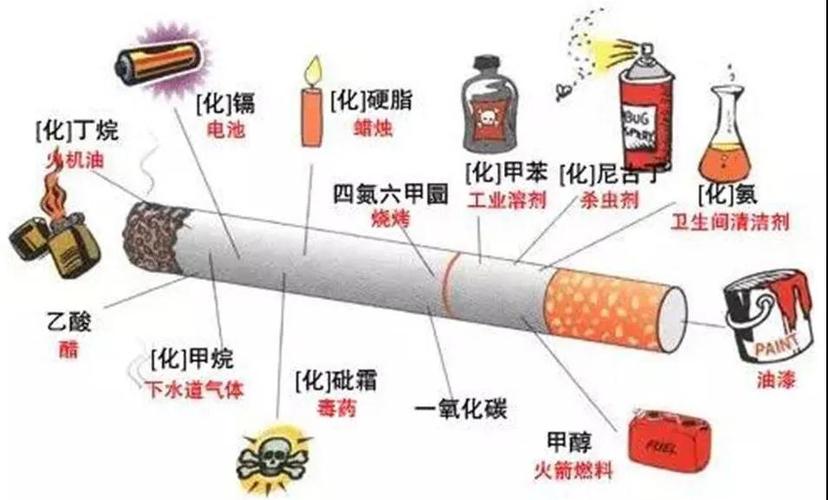 电子烟的损害比传统喷鼻香烟小?原形到底是什么?实验告诉你谜底 人工智能 电子烟的损害比传统喷鼻香烟小?原形到底是什么?实验告诉你谜底 电子烟的损害比传统喷鼻香烟小?原形到底是什么?实验告诉你谜底 人工智能