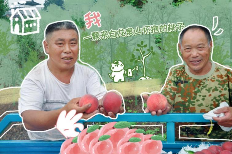 电商时代的农产品爆款 一颗龙泉桃的多条营销路 智能家居 电商时代的农产品爆款 一颗龙泉桃的多条营销路 电商时代的农产品爆款 一颗龙泉桃的多条营销路 智能家居