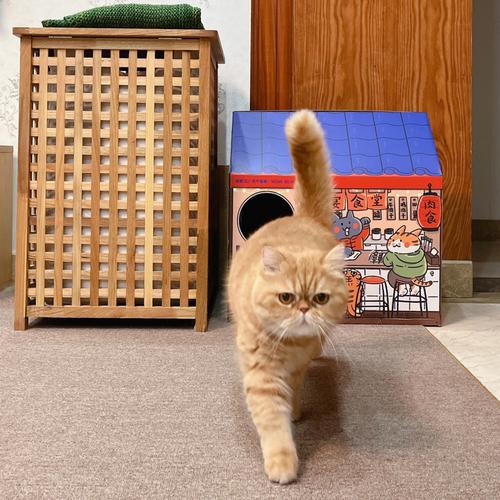 客流猫:五大年夜类型轻松打造黄金直播案牍 互联通信 客流猫:五大年夜类型轻松打造黄金直播案牍 客流猫:五大年夜类型轻松打造黄金直播案牍 互联通信