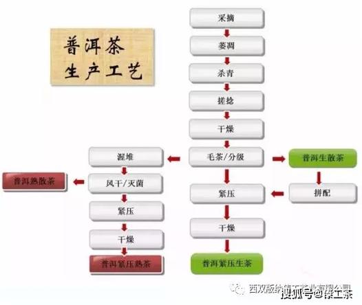 普洱生茶制作工艺(从采摘到包装)的全过程超具体 智能科技 普洱生茶制作工艺(从采摘到包装)的全过程超具体 普洱生茶制作工艺(从采摘到包装)的全过程超具体 智能科技