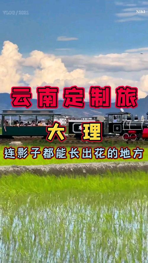 南充小伙海南创业 玩转私人定制旅游 人工智能 南充小伙海南创业 玩转私人定制旅游 南充小伙海南创业 玩转私人定制旅游 人工智能