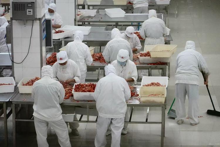 产品质量剖断样品抽取与样品治理 人工智能 产品质量剖断样品抽取与样品治理 产品质量剖断样品抽取与样品治理 人工智能