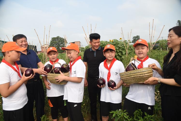 山东嘉祥：来料加工能挣钱 不误孩子与农田 山东嘉祥：来料加工能挣钱 不误孩子与农田 人工智能