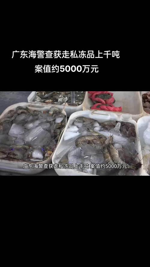 连查7宗广东海警查获涉走私冻品380余吨 智能家居 连查7宗广东海警查获涉走私冻品380余吨 连查7宗广东海警查获涉走私冻品380余吨 智能家居