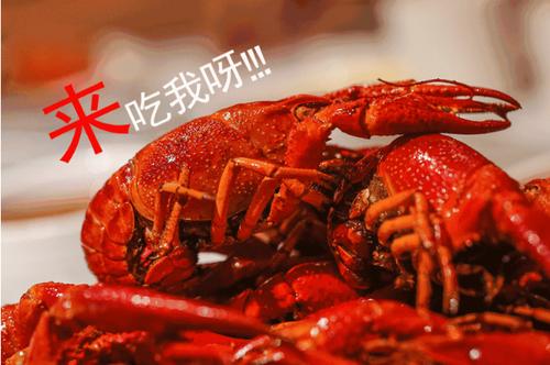 郑文琪龙虾盖浇饭喊冤称被恶意诽谤 向公安报案未获受理 人工智能 郑文琪龙虾盖浇饭喊冤称被恶意诽谤 向公安报案未获受理 郑文琪龙虾盖浇饭喊冤称被恶意诽谤 向公安报案未获受理 人工智能