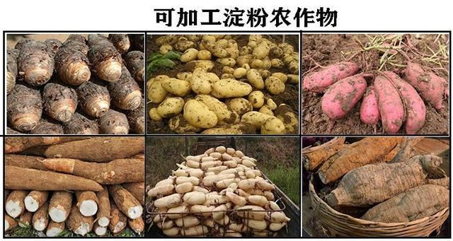 薯类淀粉、粉条粉丝加工办厂必备的两个证件缺一弗成新手必看 薯类淀粉、粉条粉丝加工办厂必备的两个证件缺一弗成新手必看 智能家居