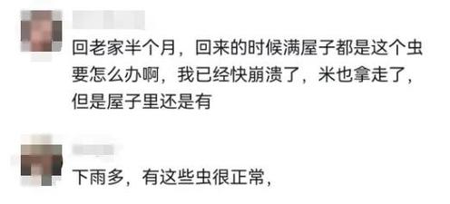 头皮发麻!生了虫的米还能吃吗?专家这样说 智能科技 头皮发麻!生了虫的米还能吃吗?专家这样说 头皮发麻!生了虫的米还能吃吗?专家这样说 智能科技