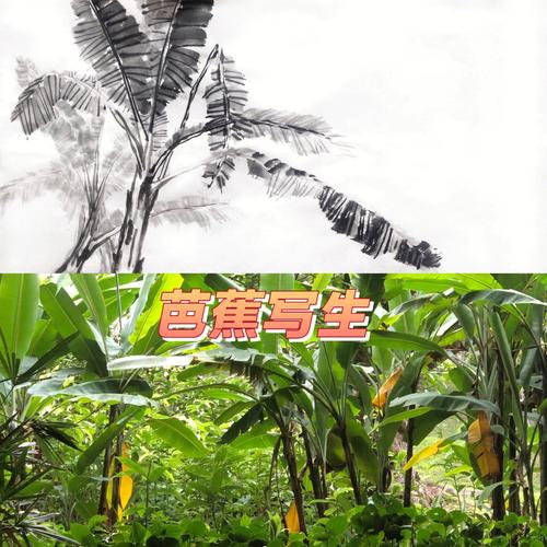 星岛实测五大年夜便联袂持风扇!高速冷风、冰感及强力芭蕉哪款更好? 人工智能 星岛实测五大年夜便联袂持风扇!高速冷风、冰感及强力芭蕉哪款更好? 星岛实测五大年夜便联袂持风扇!高速冷风、冰感及强力芭蕉哪款更好? 人工智能