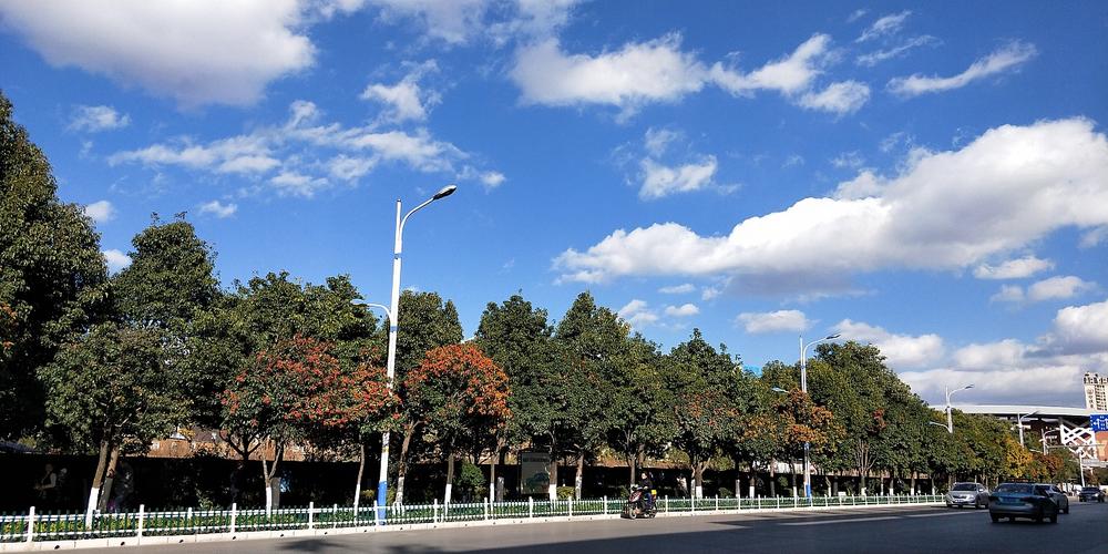 下昼达变正午达!美团优选“明日达超市”再提速缩短五小时 智能科技 下昼达变正午达!美团优选“明日达超市”再提速缩短五小时 下昼达变正午达!美团优选“明日达超市”再提速缩短五小时 智能科技