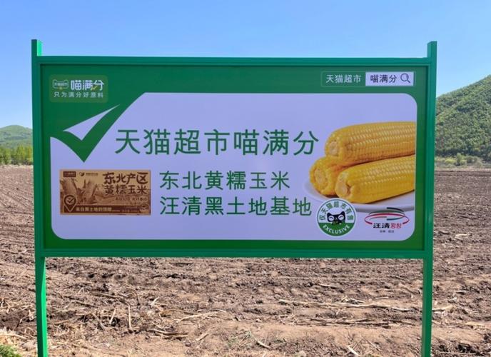 汪清县农特产品入驻天猫超市“喵满分” 开启示卖新征程！ 汪清县农特产品入驻天猫超市“喵满分” 开启示卖新征程！ 人工智能