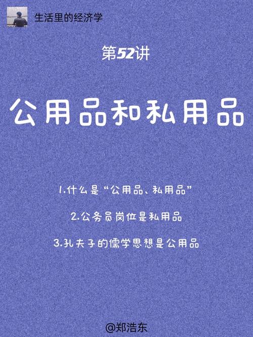 第056讲｜公用品和私用品 第056讲｜公用品和私用品 人工智能