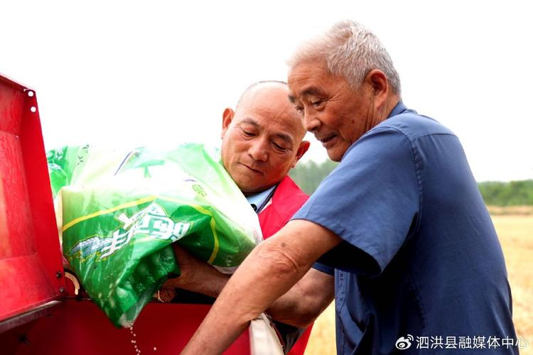 安徽五河:大年夜豆玉米“手牵手” “一地双收”有“赚头” 互联通信 安徽五河:大年夜豆玉米“手牵手” “一地双收”有“赚头” 安徽五河:大年夜豆玉米“手牵手” “一地双收”有“赚头” 互联通信