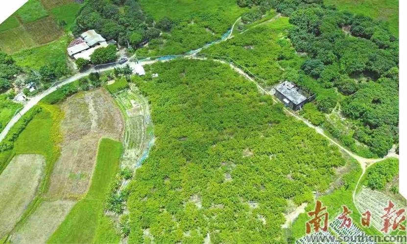 盘“土”成“金” 向“新”而行丨大年夜港街道引入天津绿泰新材料有限公司废锂电池极粉本钱化运用项目的探索与实践 智能家居 盘“土”成“金” 向“新”而行丨大年夜港街道引入天津绿泰新材料有限公司废锂电池极粉本钱化运用项目的探索与实践 盘“土”成“金” 向“新”而行丨大年夜港街道引入天津绿泰新材料有限公司废锂电池极粉本钱化运用项目的探索与实践 智能家居