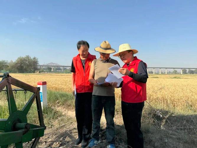 农发行平度市支行多措并举行事保障夏粮收购 智能科技 农发行平度市支行多措并举行事保障夏粮收购 农发行平度市支行多措并举行事保障夏粮收购 智能科技