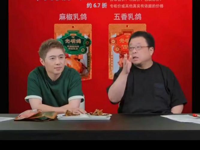 罗永浩带货的松下商务投影3400流明高亮度色彩也让家投脸红 罗永浩带货的松下商务投影3400流明高亮度色彩也让家投脸红 人工智能