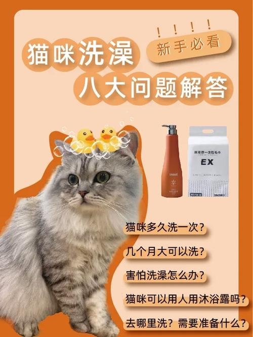 猫咪沾了脏器械怎么洗?这些高端除垢办法你掌握了吗? 智能家居 猫咪沾了脏器械怎么洗?这些高端除垢办法你掌握了吗? 猫咪沾了脏器械怎么洗?这些高端除垢办法你掌握了吗? 智能家居
