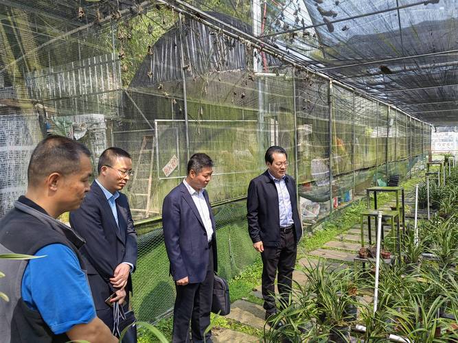 新增26.7亿元!肇庆建行“专属产品+专属模式”做事农业经营主体 人工智能 新增26.7亿元!肇庆建行“专属产品+专属模式”做事农业经营主体 新增26.7亿元!肇庆建行“专属产品+专属模式”做事农业经营主体 人工智能