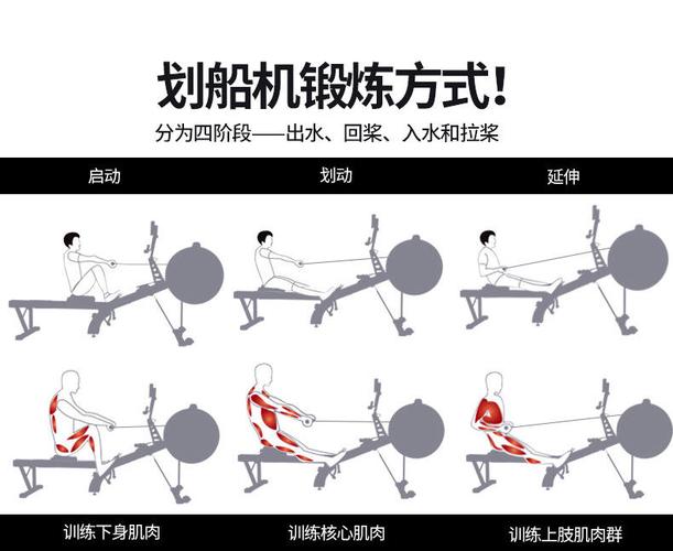 6千字干货讲解划船机应用及演习一项能锻炼全身80%肌肉的运动 智能科技 6千字干货讲解划船机应用及演习一项能锻炼全身80%肌肉的运动 6千字干货讲解划船机应用及演习一项能锻炼全身80%肌肉的运动 智能科技