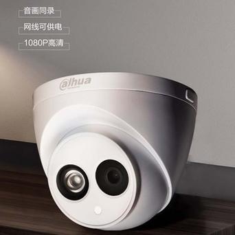 大华日夜监控 大华日夜监控 智能科技