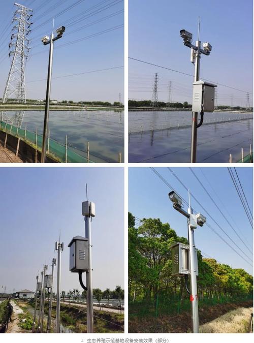 养殖场监控效果 养殖场监控效果 智能家居