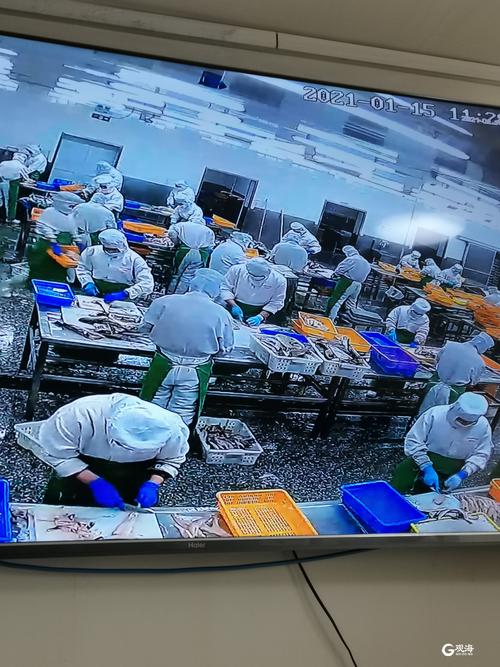 胶州监控批发 互联通信 胶州监控批发 胶州监控批发 互联通信
