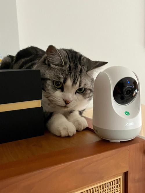 监控猫怎么安装 互联通信 监控猫怎么安装 监控猫怎么安装 互联通信